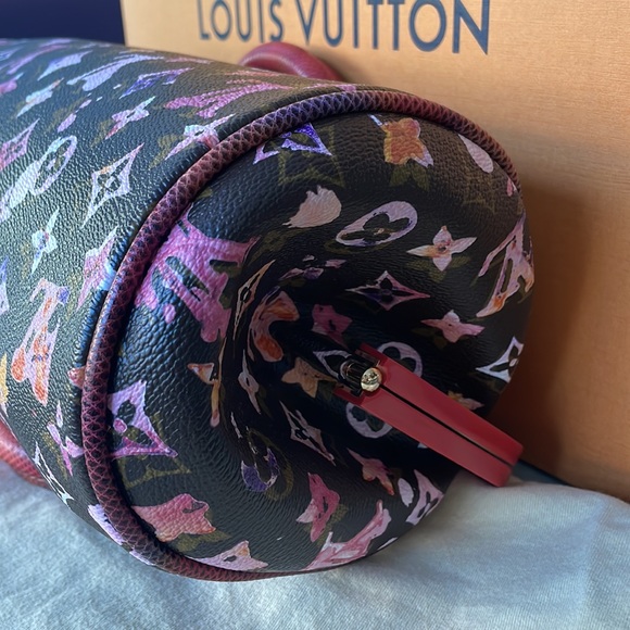 LOUIS VUITTON WATERCOLOR AQUARELLE MONOGRAM PAPILLON FRAME SNAKESKIN BAG - Picture 9 of 11